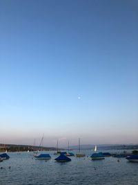 Sailboats moored in sea against clear blue sky