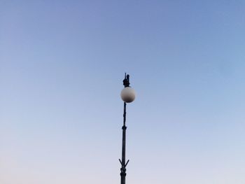 Low angle view of bird against clear blue sky