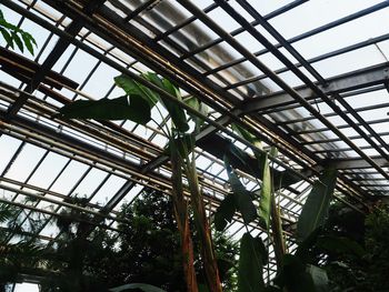 Low angle view of skylight