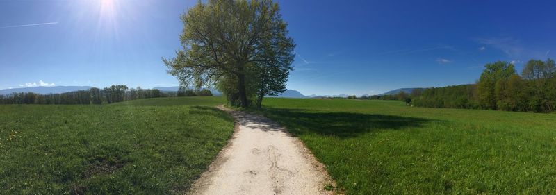 Scenic view of green landscape against sky