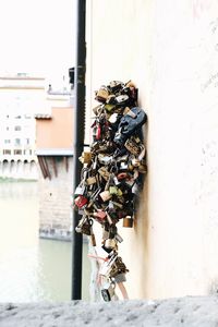 Close-up of padlocks on metal by building