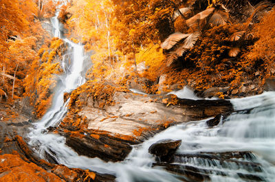 Scenic view of waterfall in forest during autumn