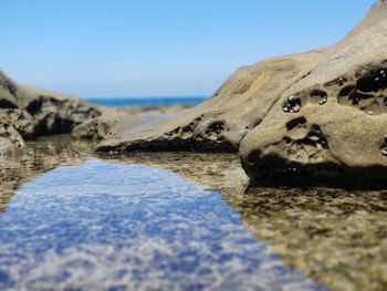 Close-up of turtle on rock