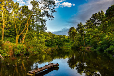 Scenic view of lake in forest against sky