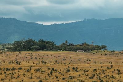 Beautiful views at taita hills wildlife sanctuary, voi, kenya