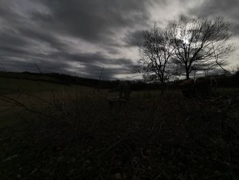 Bare trees on field against sky