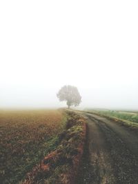 Road amidst field against sky during foggy weather