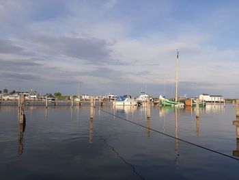 Sailboats moored in harbor against sky