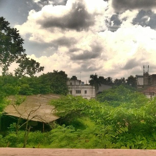 building exterior, architecture, built structure, sky, cloud - sky, house, tree, cloudy, cloud, residential structure, growth, plant, field, residential building, nature, rural scene, day, outdoors, no people, green color