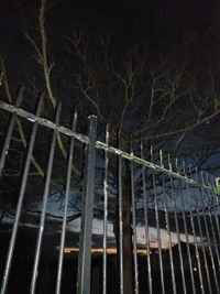 Low angle view of bare trees at night