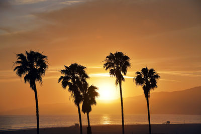 Silhouette palm trees on beach against sky during sunset