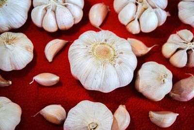 Garlic on red background