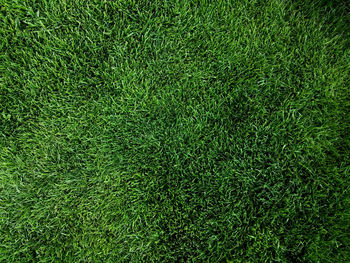 Full frame shot of soccer field