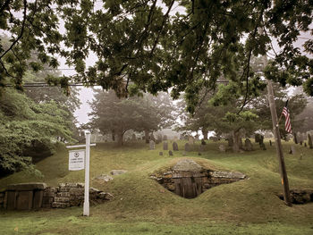 View of cemetery against trees