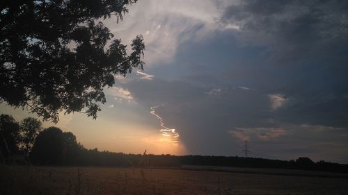 Silhouette trees on field against sky at sunset