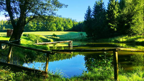 Scenic view of lake by trees against sky