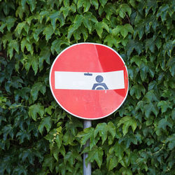 Close-up of road sign against plants