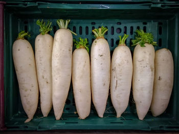 Radish in basket at market for sale