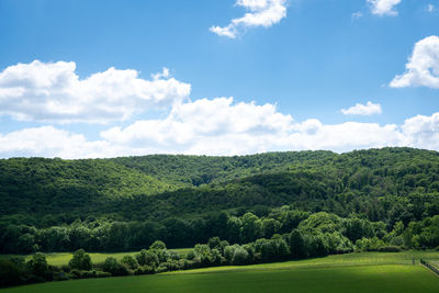 Scenic view of trees on field against sky