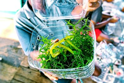 Close-up of hand holding drink