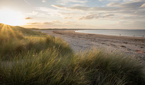 Scenic view of beach against sky during sunset