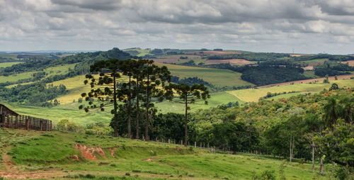 Scenic view of landscape against sky