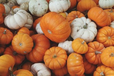 Full frame shot of pumpkins for sale