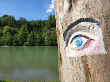 Portrait of man by tree trunk by lake