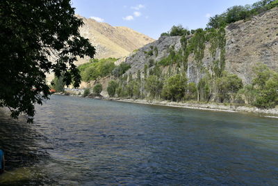 Scenic view of river amidst trees against sky