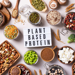 Variety of healthy vegan, plant based protein source and body building food. view from above