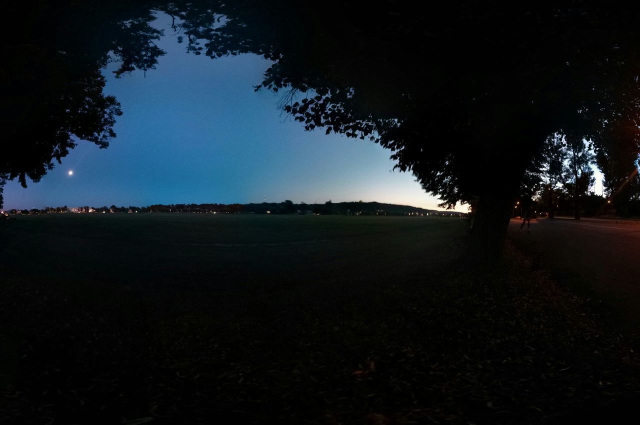 tree, tranquility, tranquil scene, landscape, silhouette, clear sky, field, scenics, nature, copy space, beauty in nature, growth, sky, no people, dark, outdoors, idyllic, grass, solitude, shadow