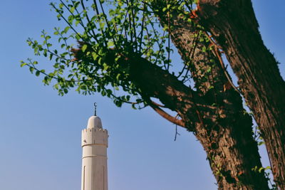 Low angle view of tree and building against sky