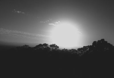 Sun shining through trees