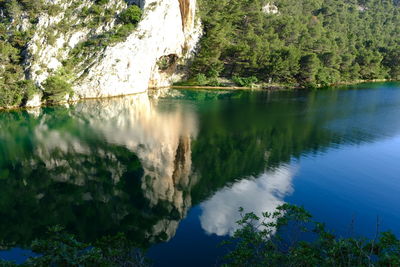 Scenic view of waterfall in forest