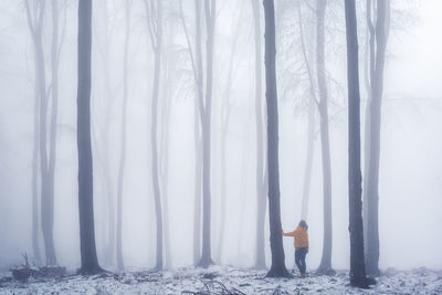 Woman standing by tree in forest during winter