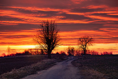 Road amidst trees on field against orange sky