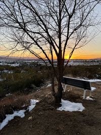 Bare tree by lake against sky during sunset