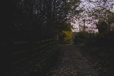 Trees on landscape against sky
