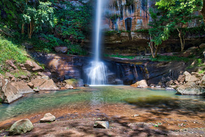 Scenic view of waterfall in forest