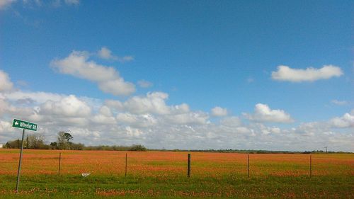 Scenic view of field against blue sky