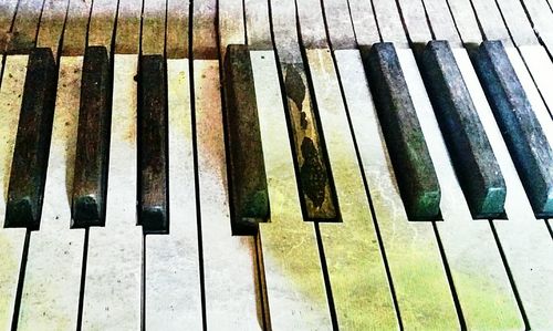 Close-up of wooden post