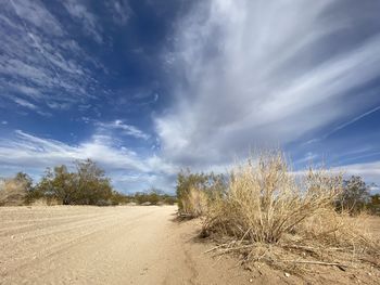 Dirt road amidst trees on field against sky