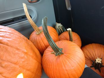 Close-up of pumpkins