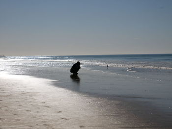 Man on beach against clear sky