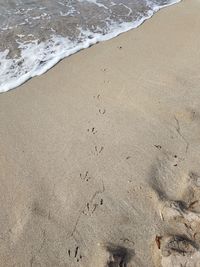 High angle view of footprints on beach