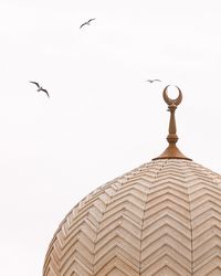 Low angle view of birds flying against sky