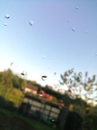 Close-up of water drops on window