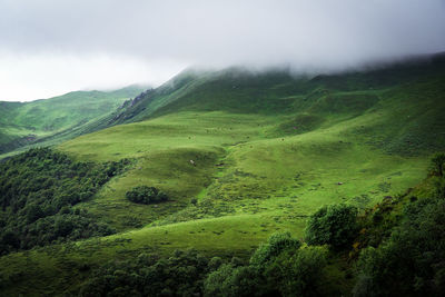 Scenic view of green landscape against sky