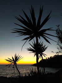 Silhouette palm tree by sea against sky at sunset