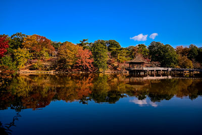 Autumn reflection in japan